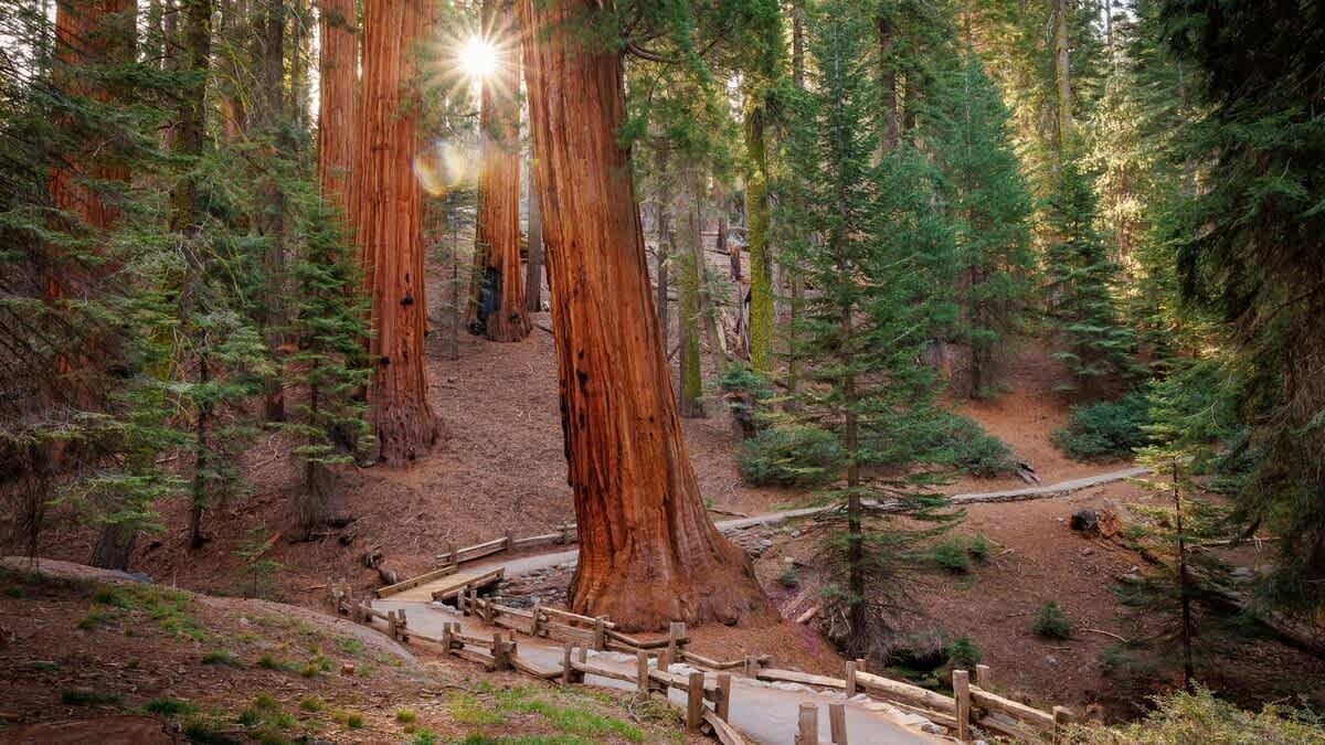 Photo of Others in Visalia