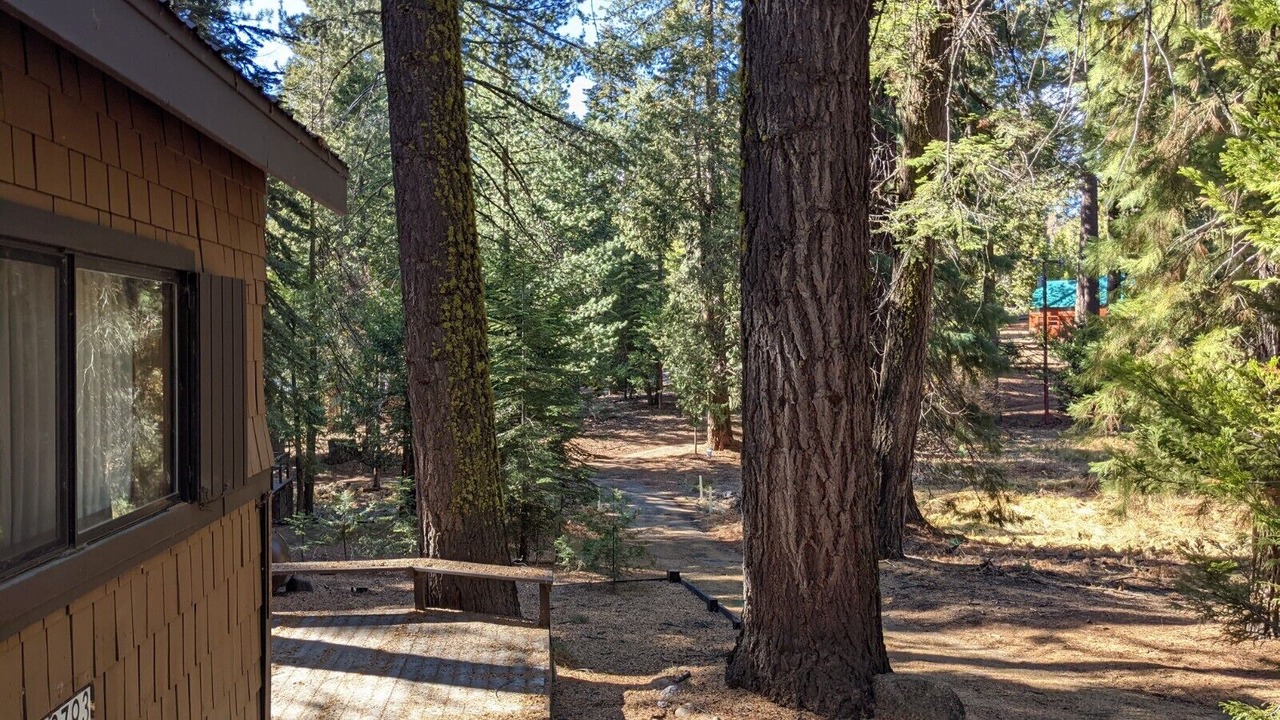 Photo of Outdoor in Wilsonia