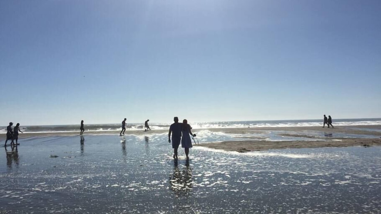 Photo of Others in Stinson Beach