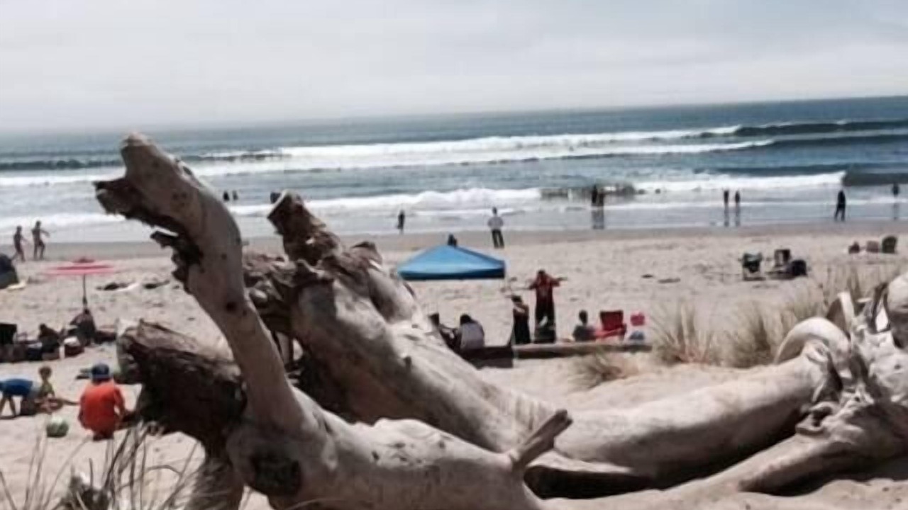 Photo of Others in Stinson Beach