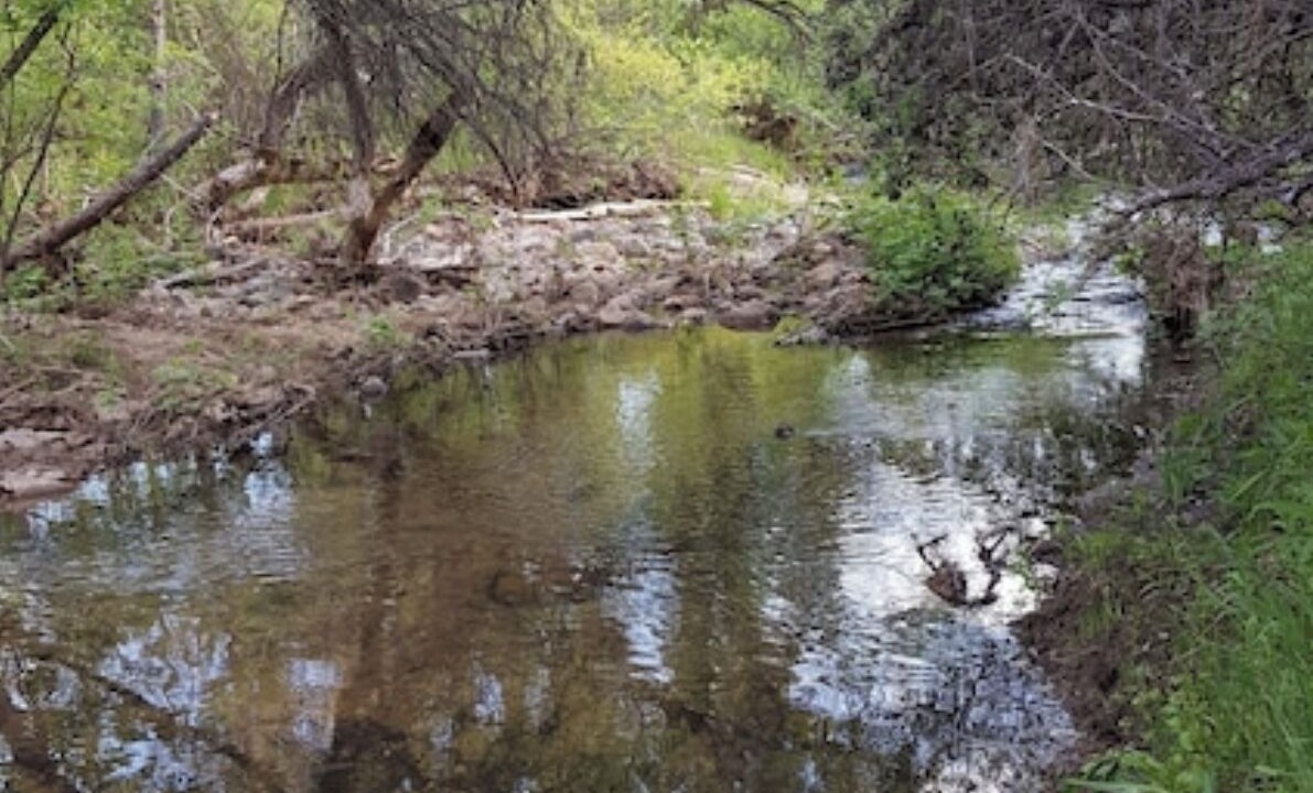 Photo of Others in North Fork
