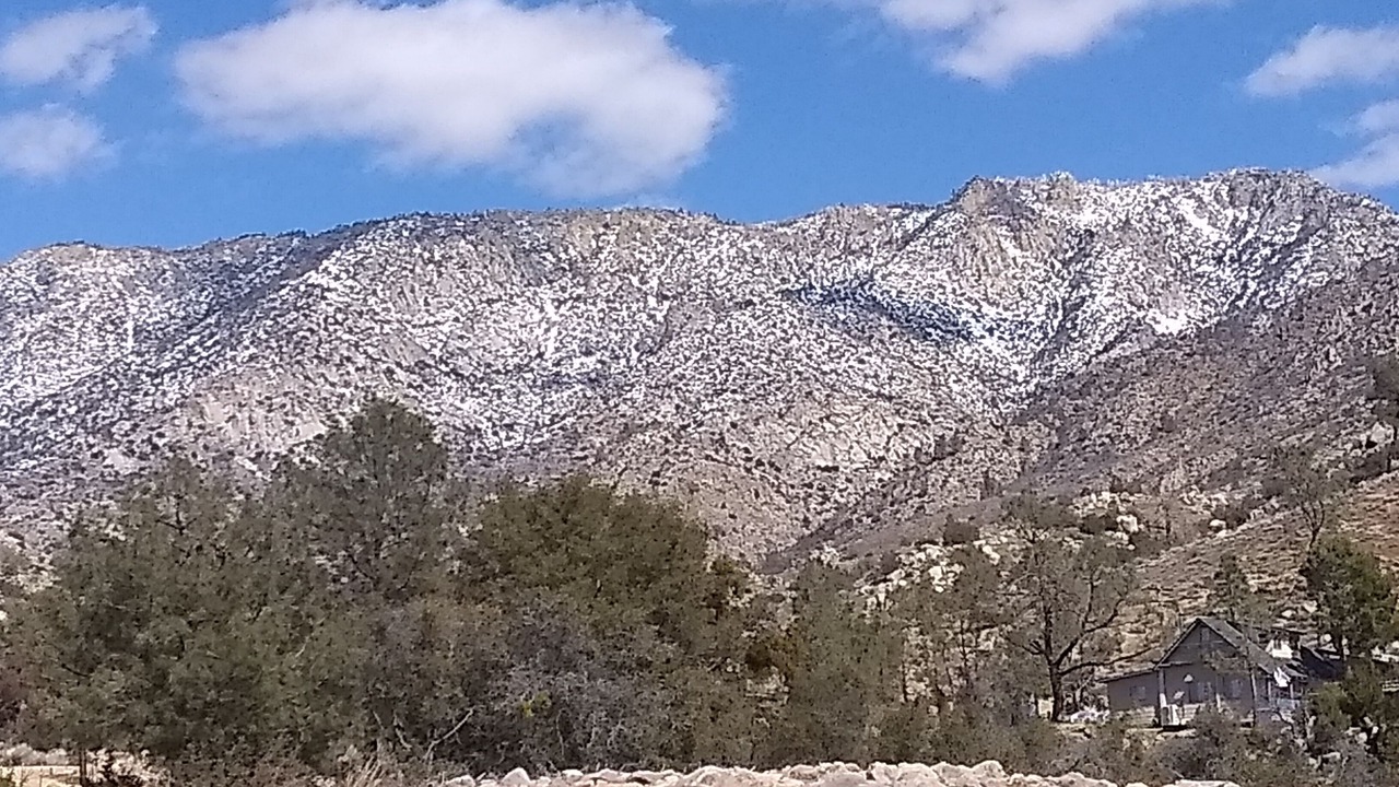 Photo of Outdoor in Weldon