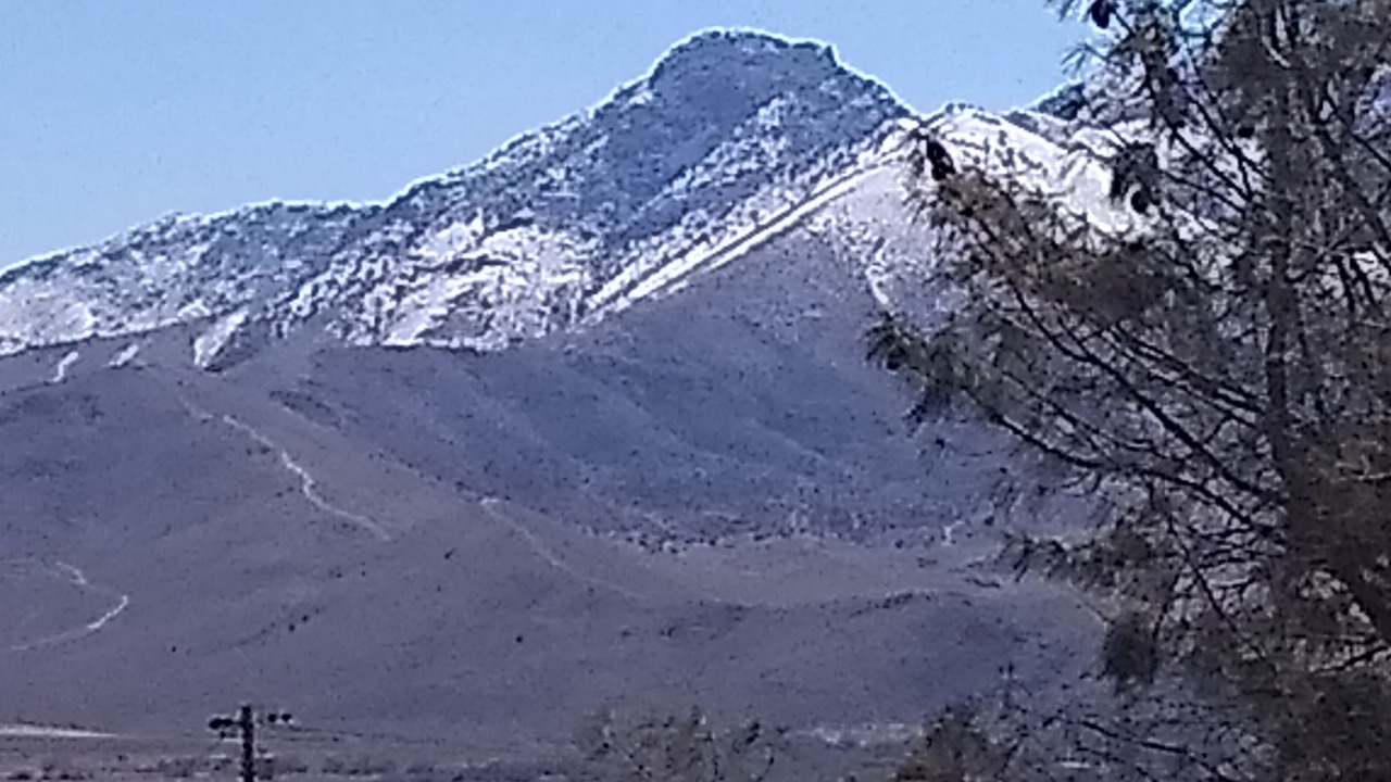 Photo of Outdoor in Weldon