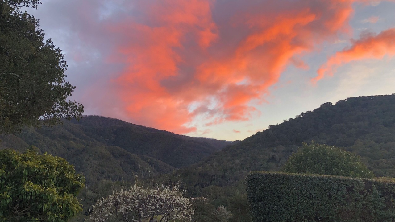 Photo of Outdoor in Carmel Valley