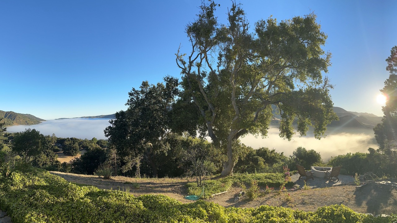 Photo of Outdoor in Carmel Valley