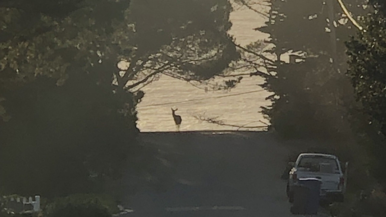 Photo of Others in Park Hill