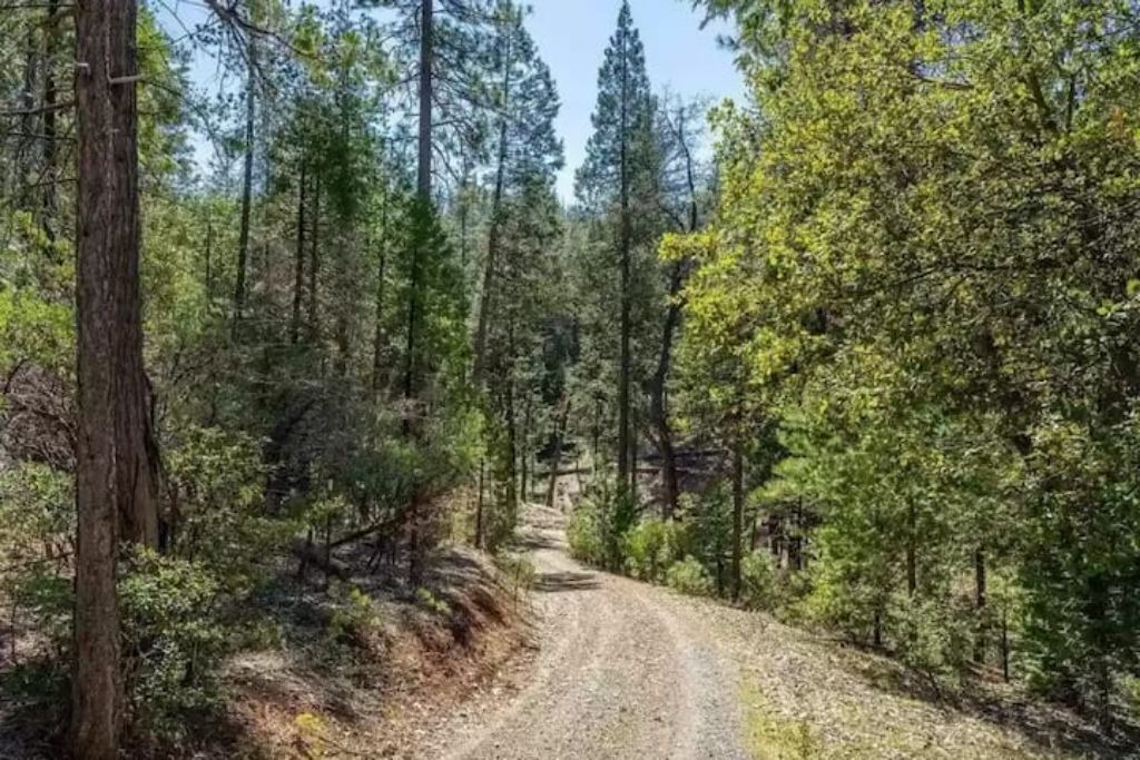 Photo of Outdoor in Groveland