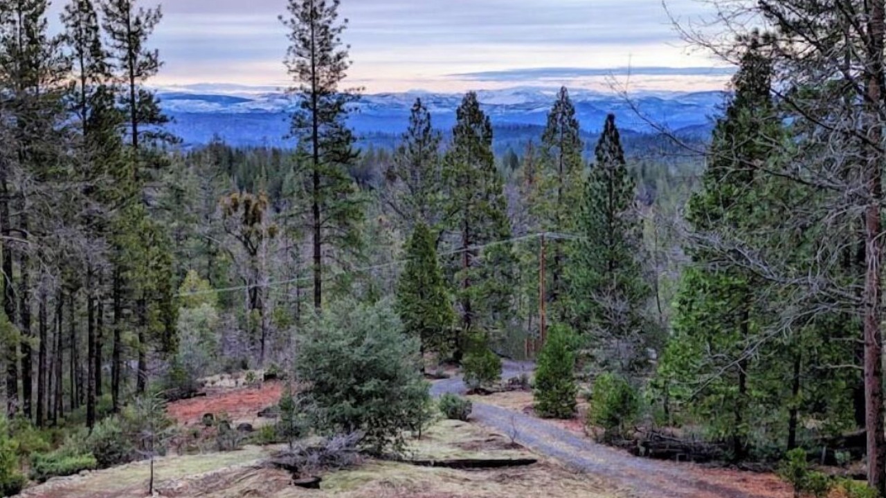 Photo of Outdoor in Groveland