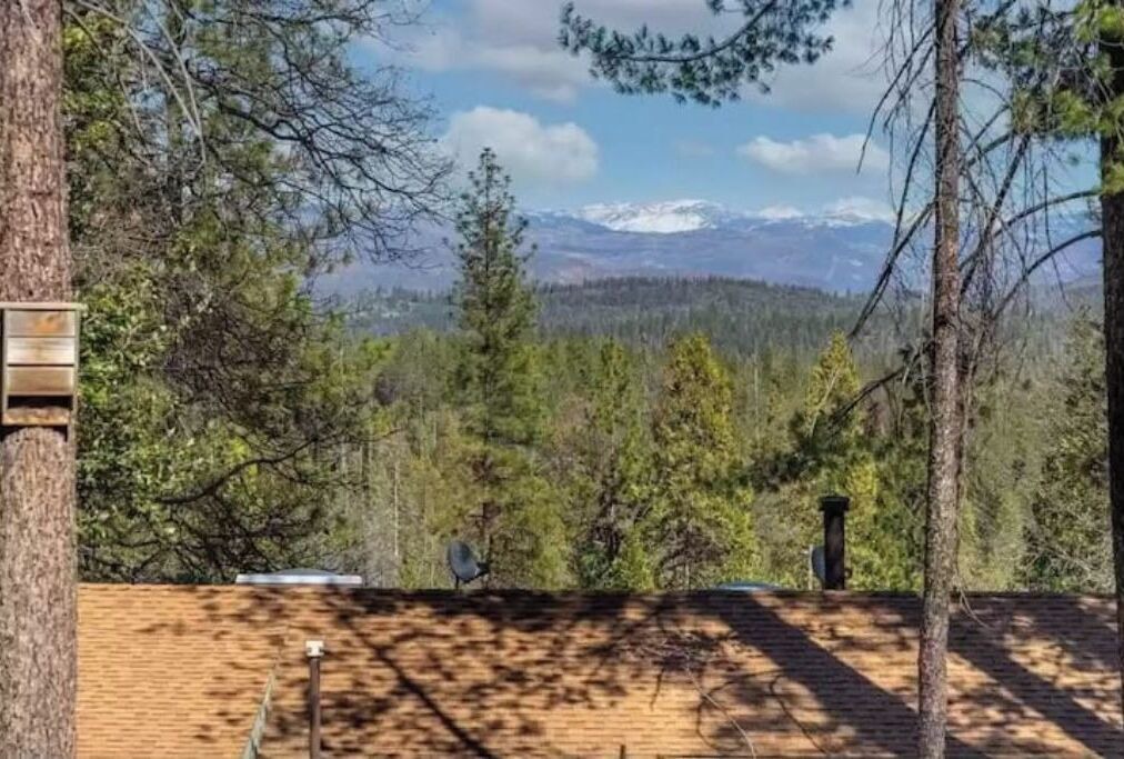 Photo of Outdoor in Groveland