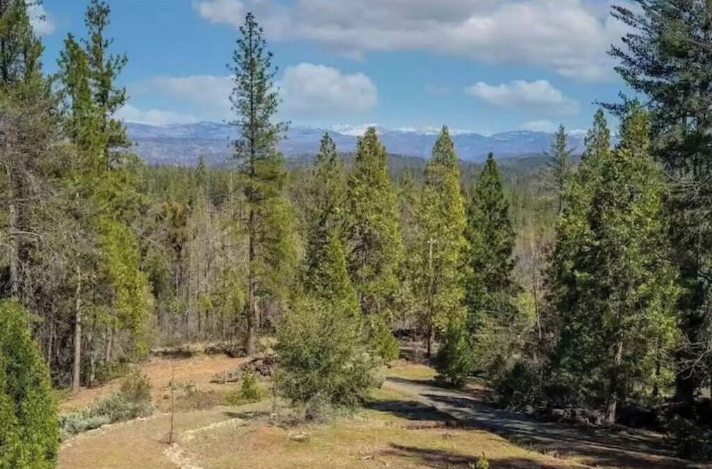 Photo of Outdoor in Groveland