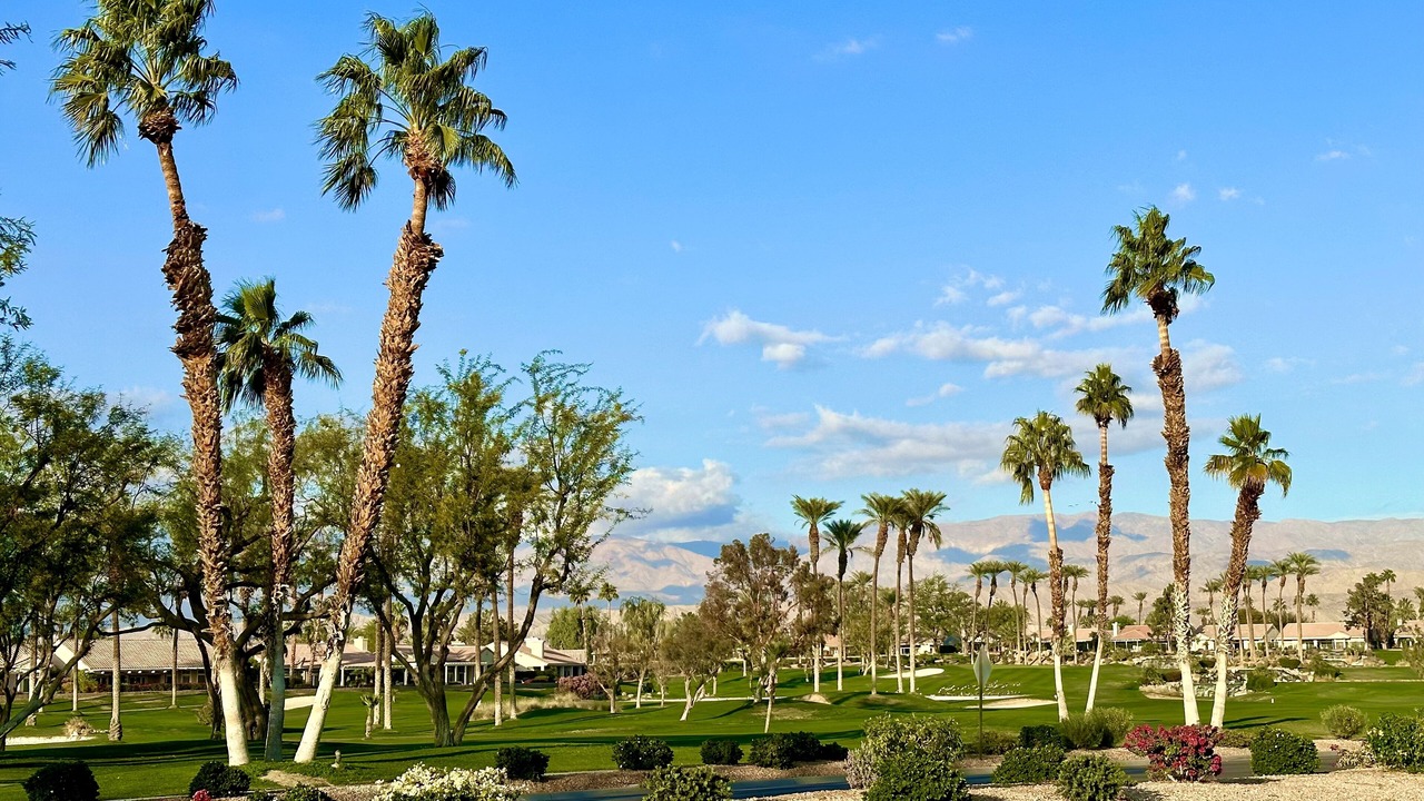 Photo of Others in Desert Palms