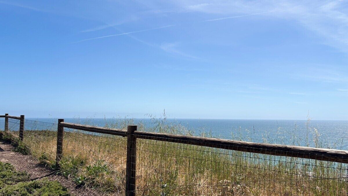 Photo of Others in Rio del Mar