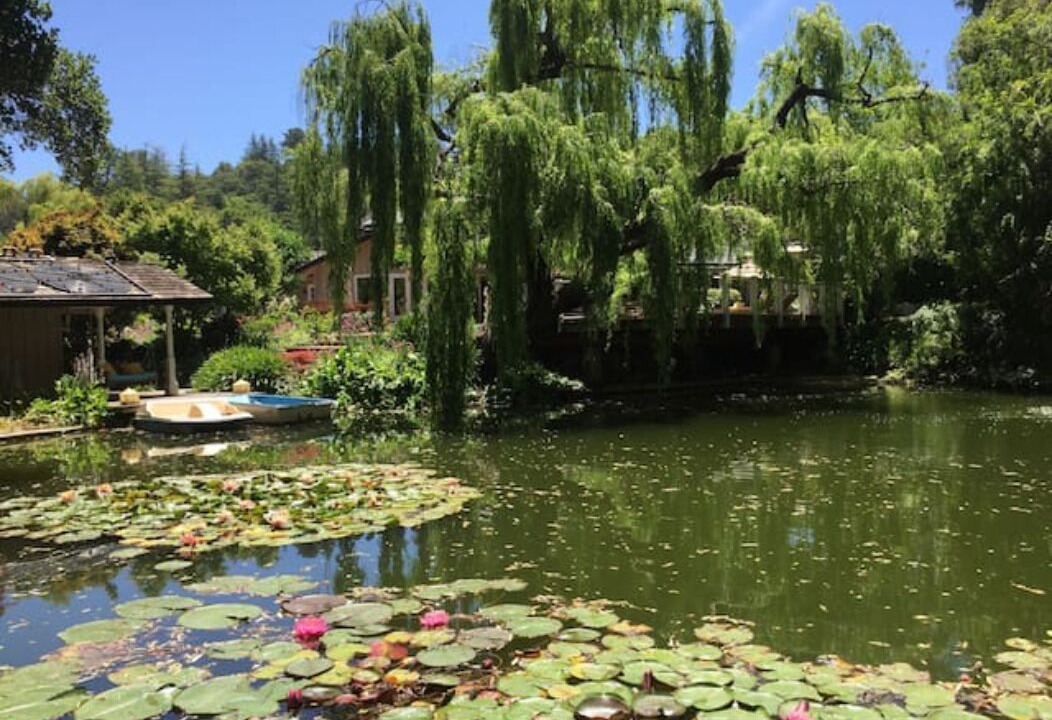 Photo of Outdoor in Los Altos Hills