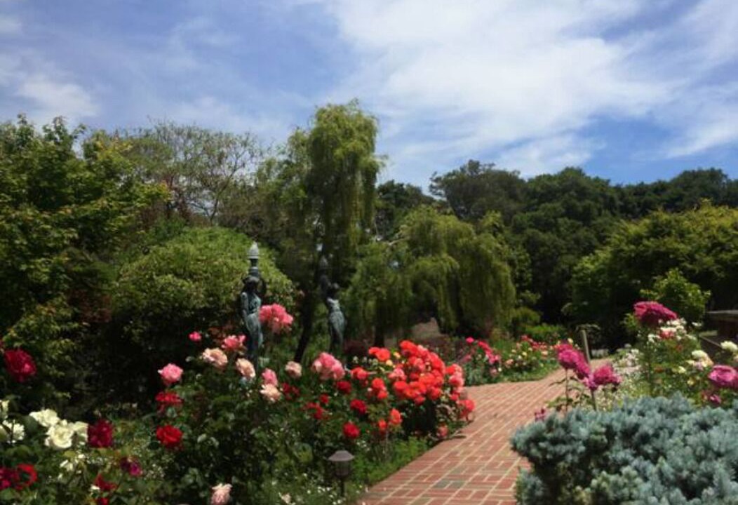 Photo of Outdoor in Los Altos Hills