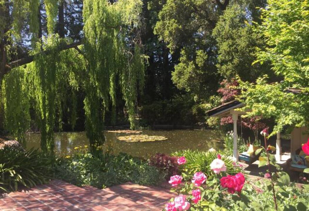 Photo of Outdoor in Los Altos Hills