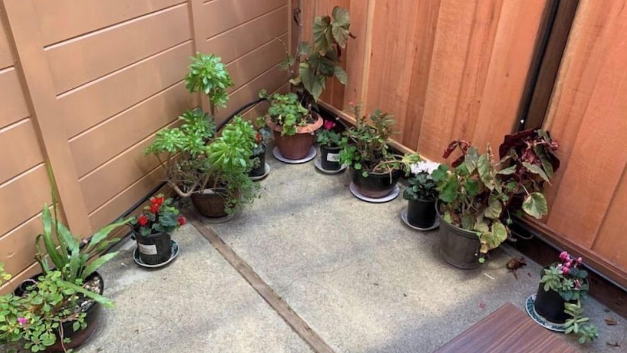 Photo of Outdoor in Castro Valley