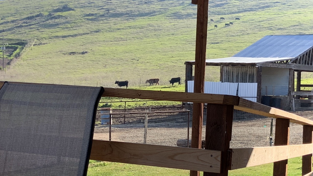 Photo of Outdoor in Woodlake