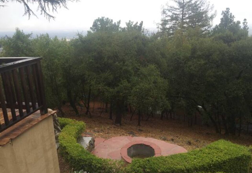 Photo of Outdoor in Los Gatos
