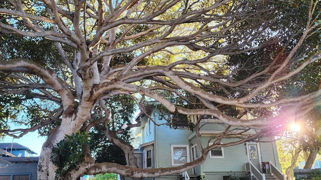 Photo of Others in Pacific Grove