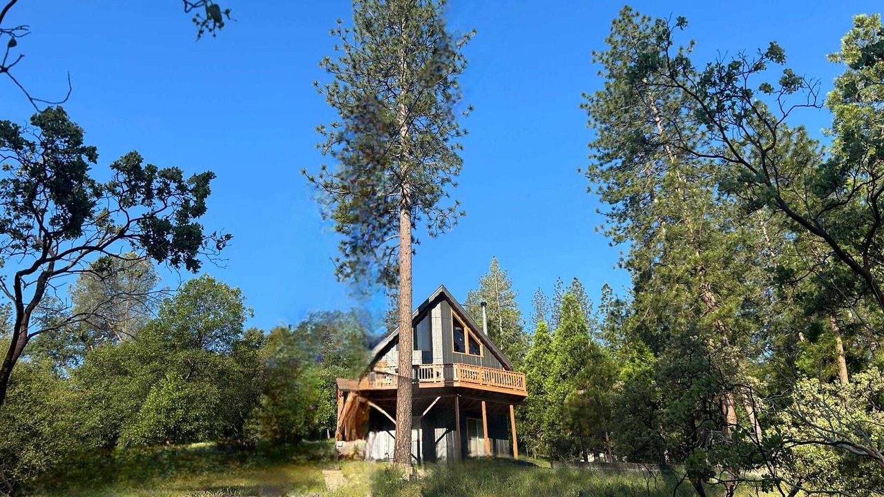 Photo of Outdoor in Groveland