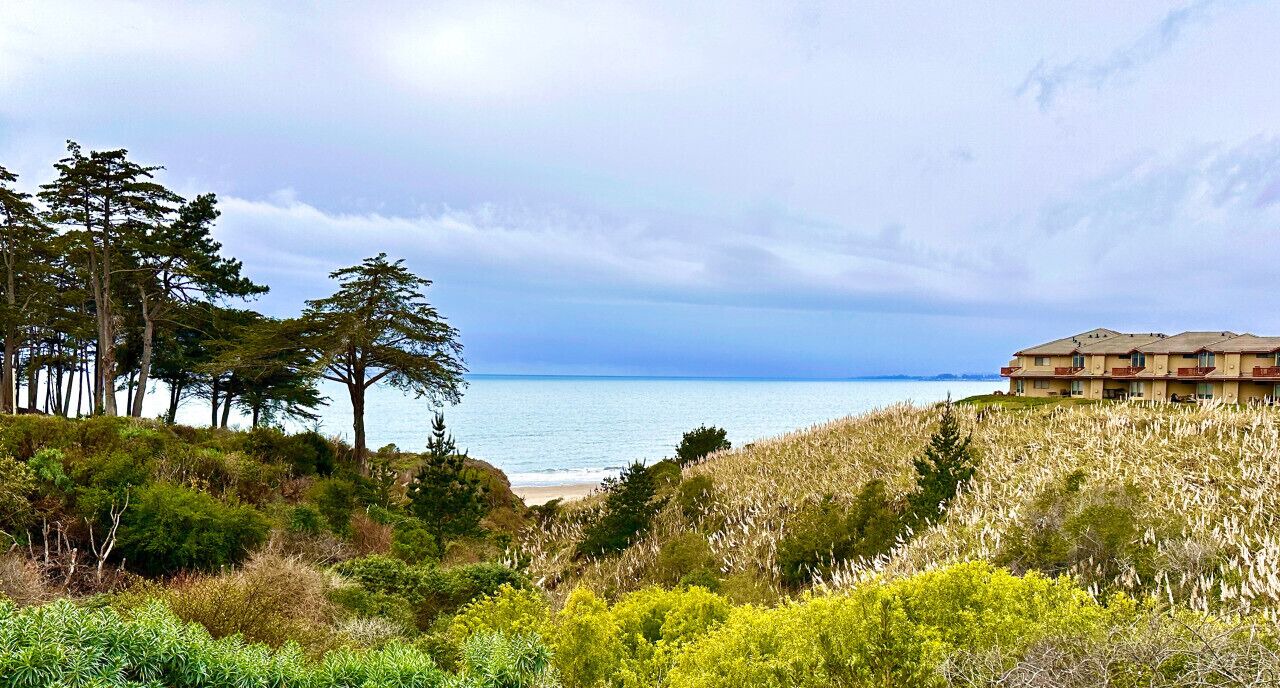 Photo of Others in Rio del Mar