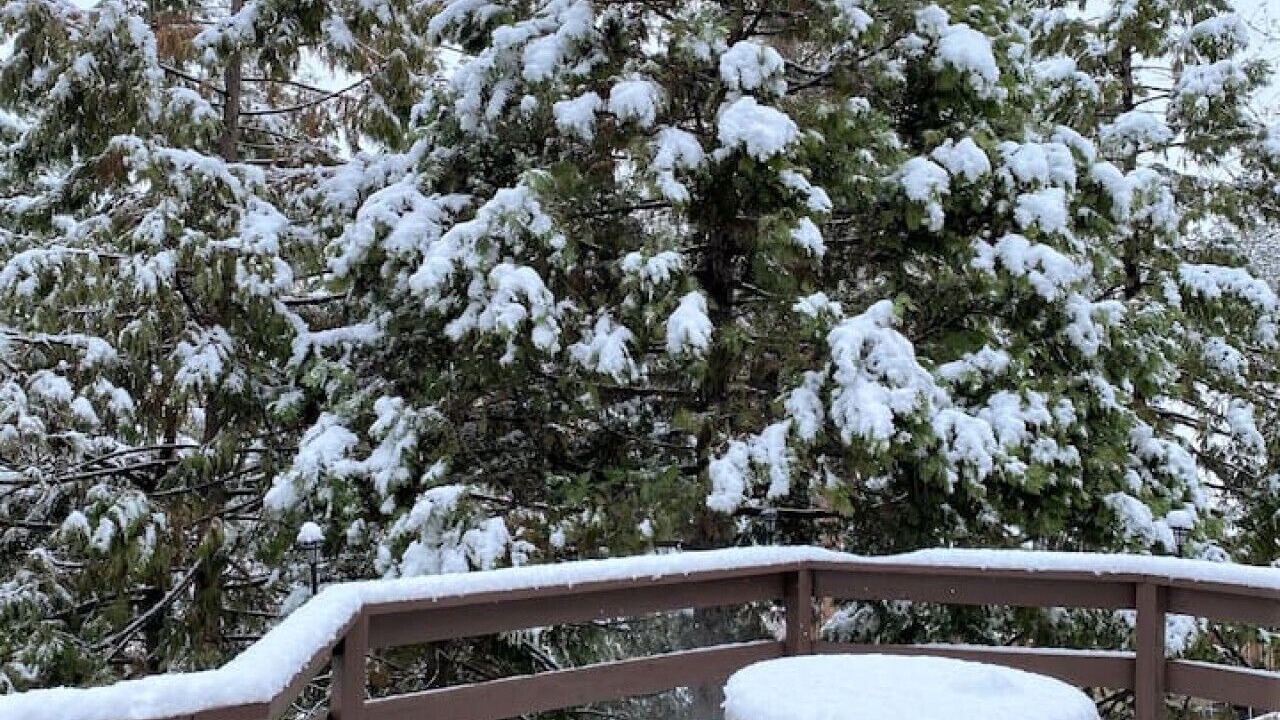 Photo of Outdoor in Groveland