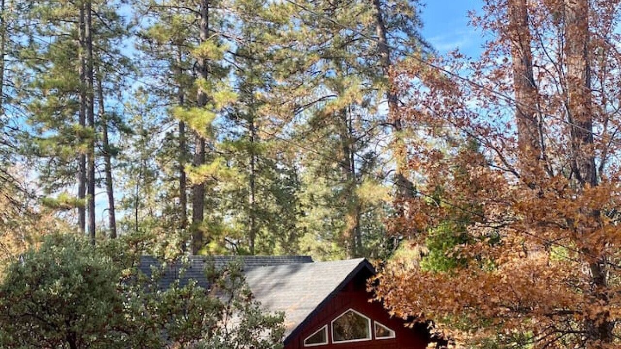 Photo of Outdoor in Groveland
