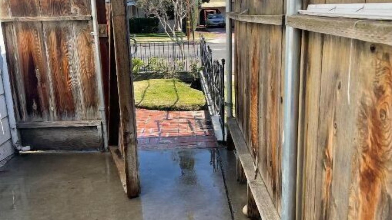 Photo of Outdoor in Raisin