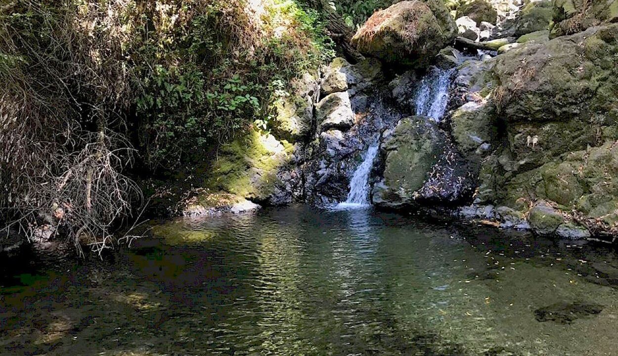 Photo of Others in Lagunitas-Forest Knolls
