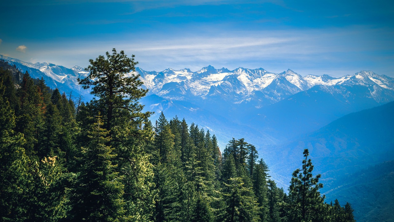 Photo of Others in Squaw Valley
