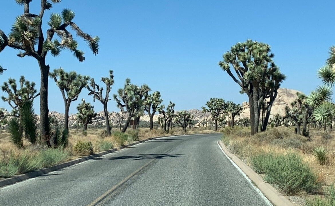 Photo of Others in Twentynine Palms