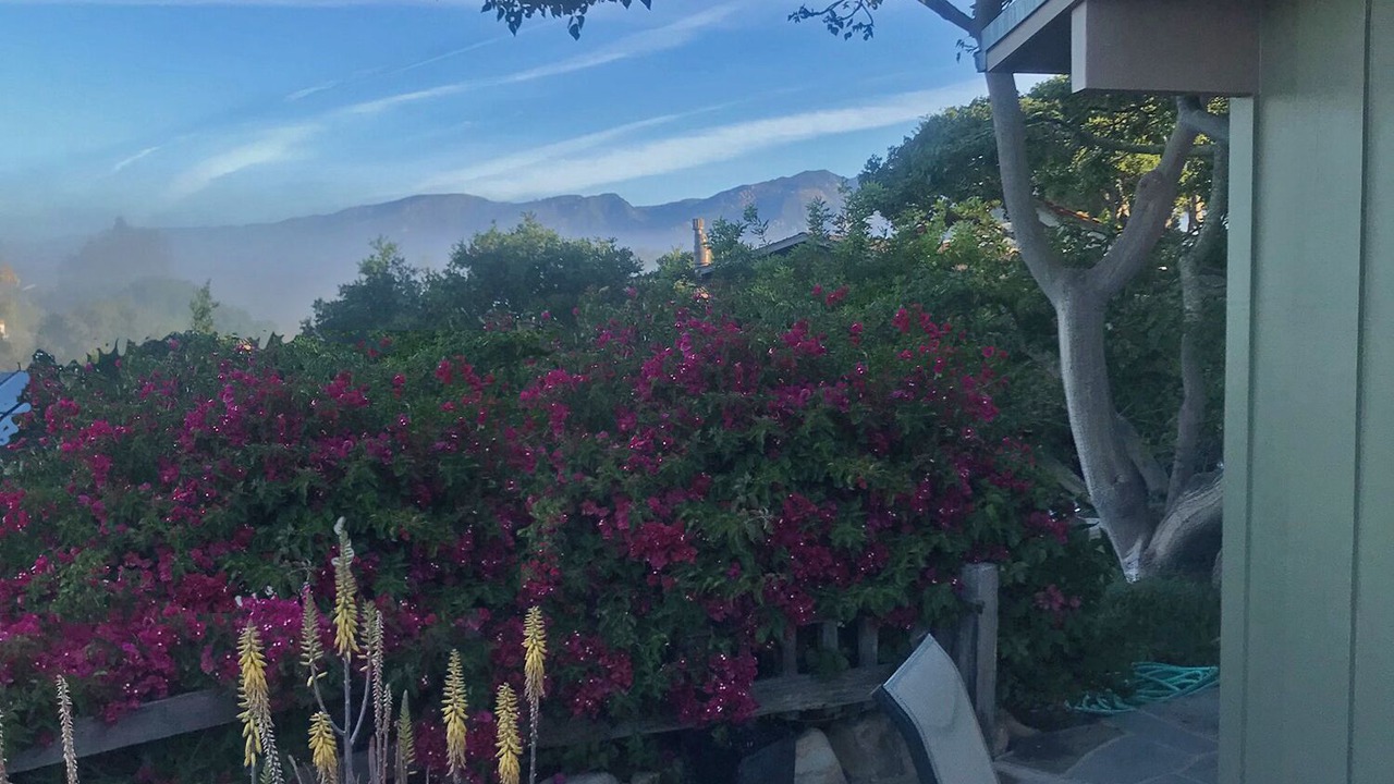 Photo of Outdoor in Alta Mesa