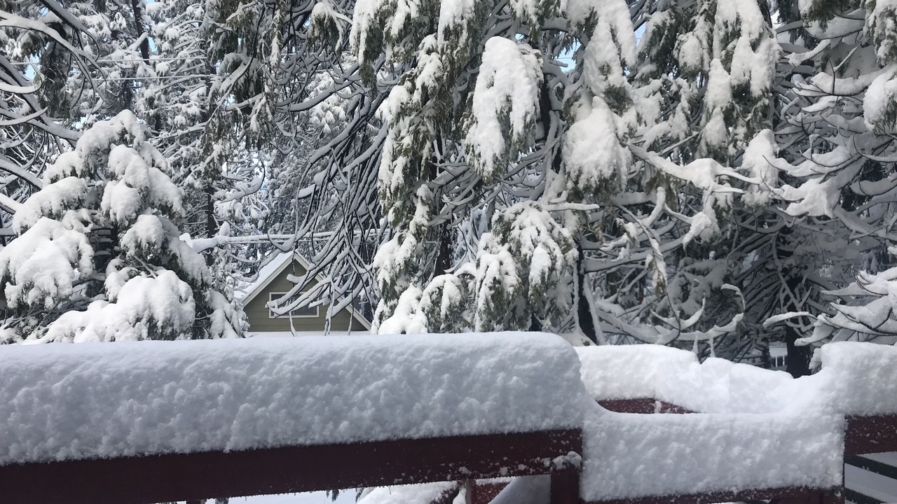 Photo of Outdoor in Twain Harte