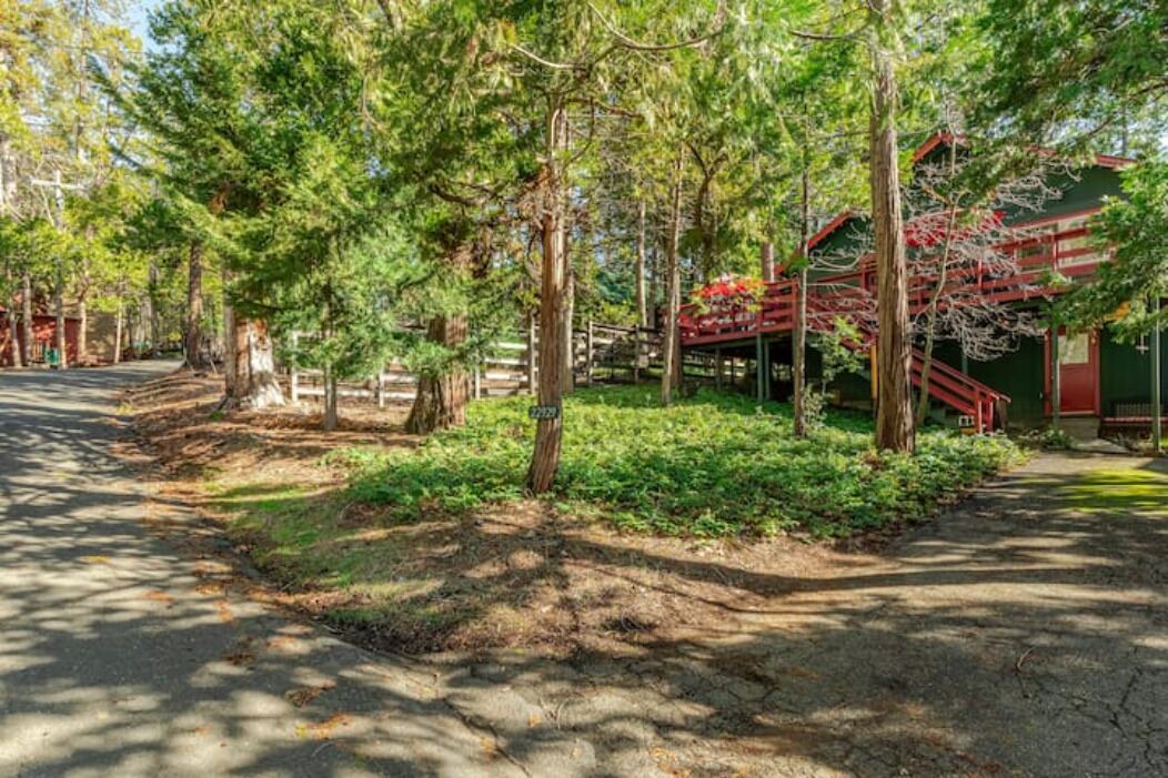 Photo of Outdoor in Twain Harte