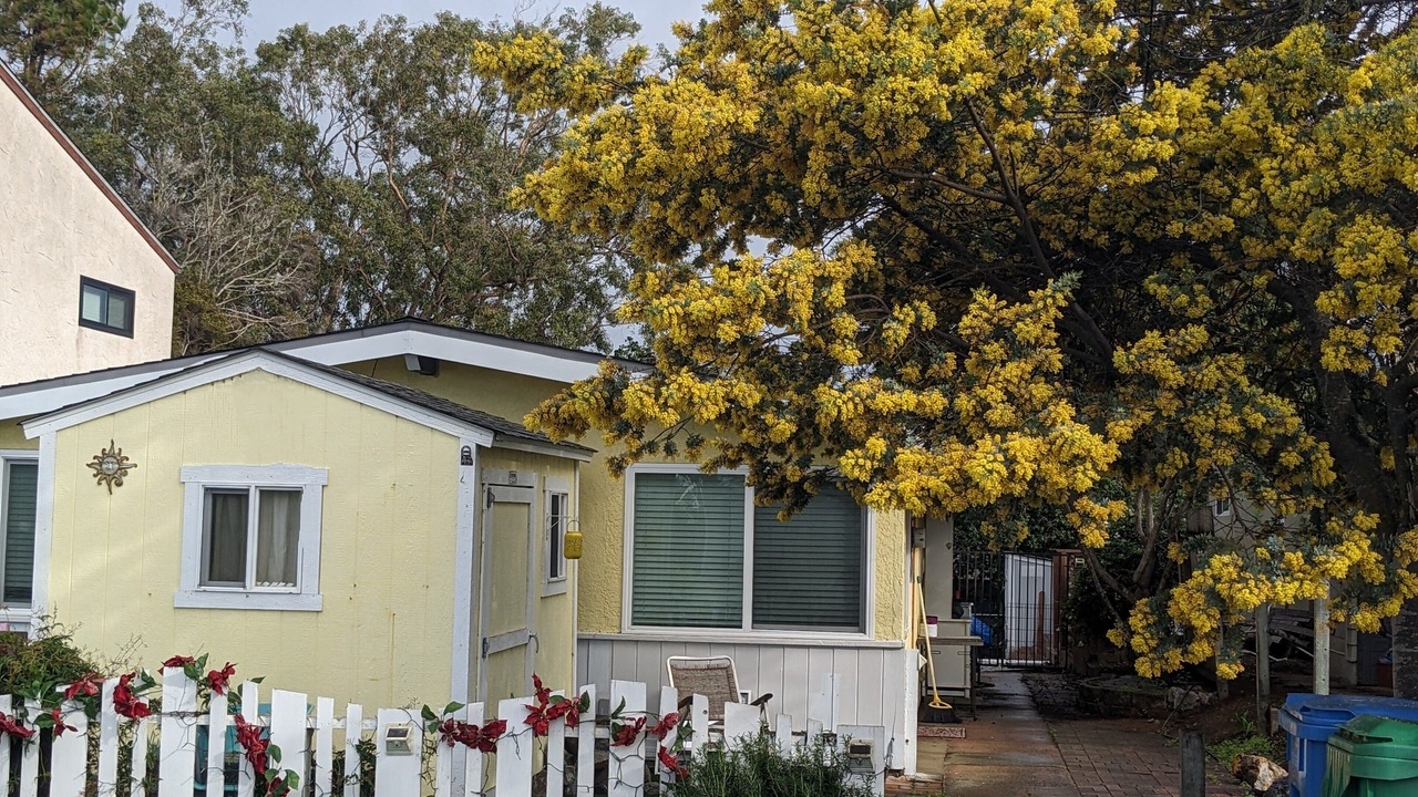 Photo of Outdoor in Baywood-Los Osos