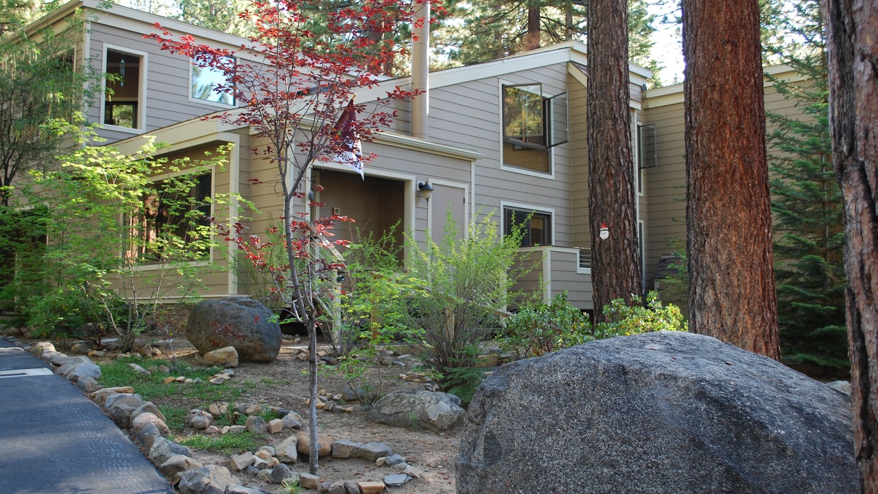 Photo of Others in Incline Village