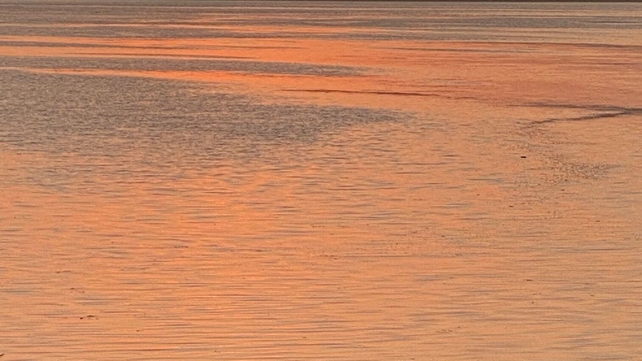 Photo of Others in Baywood-Los Osos
