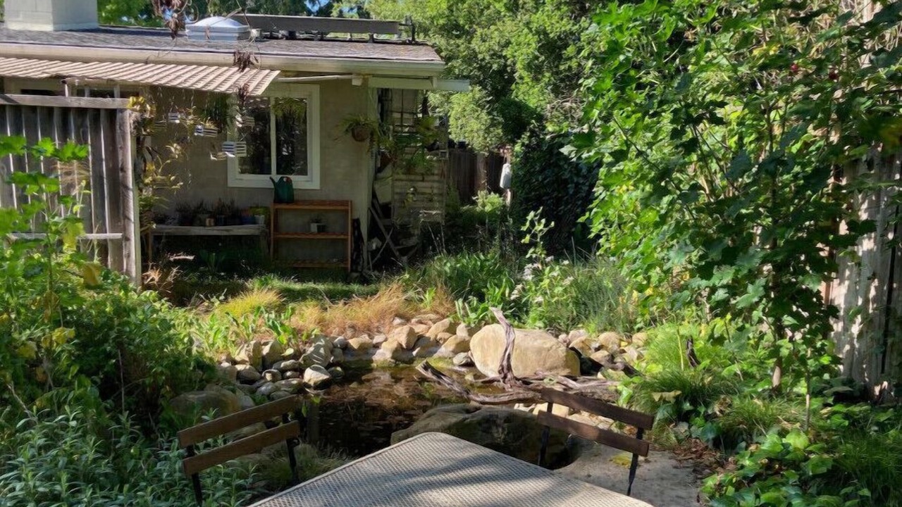 Photo of Outdoor in West Mesa