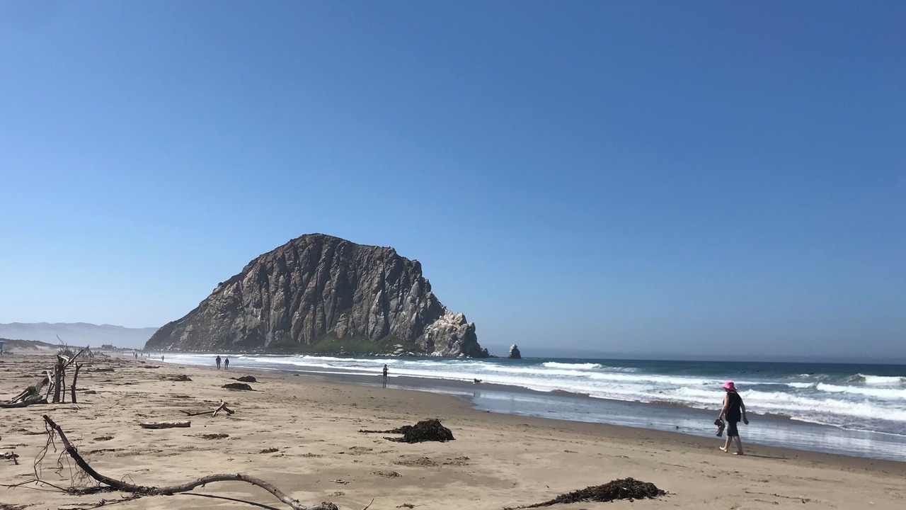 Photo of Others in Morro Bay
