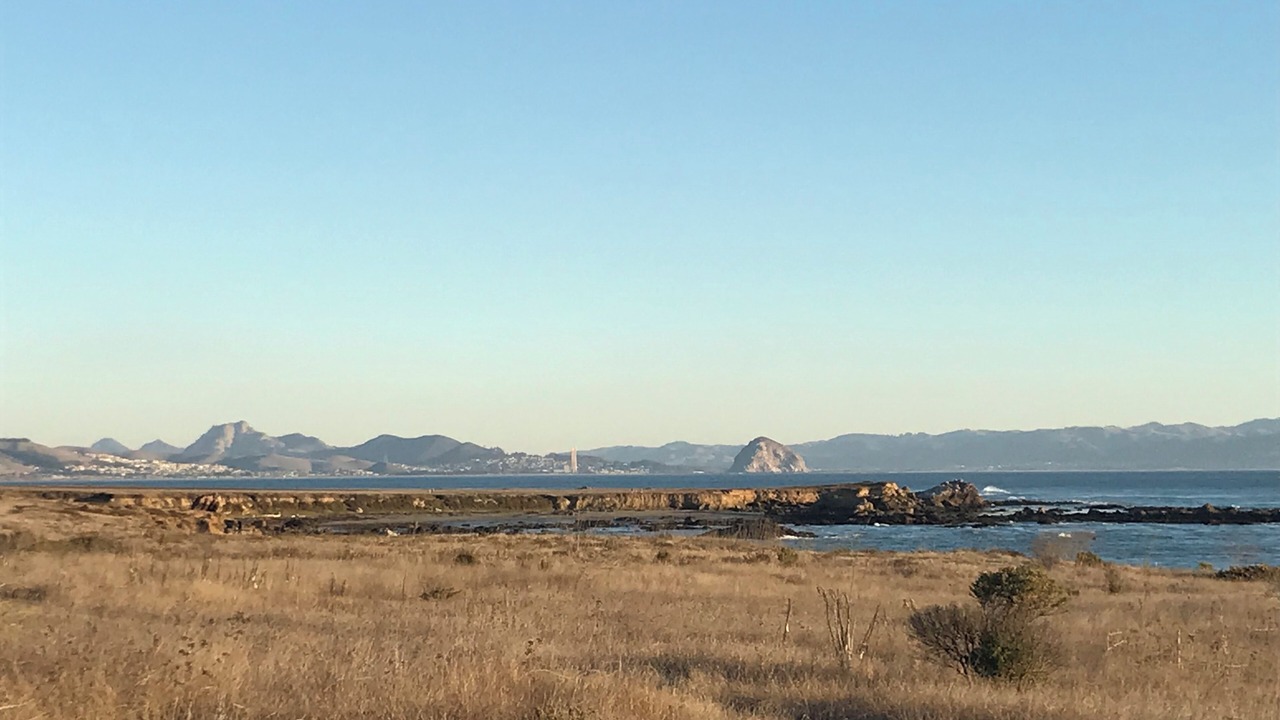 Photo of Others in Morro Bay