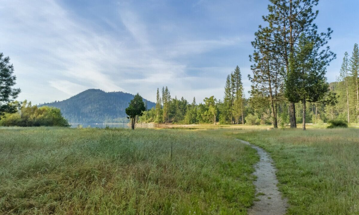 Photo of Others in Bass Lake