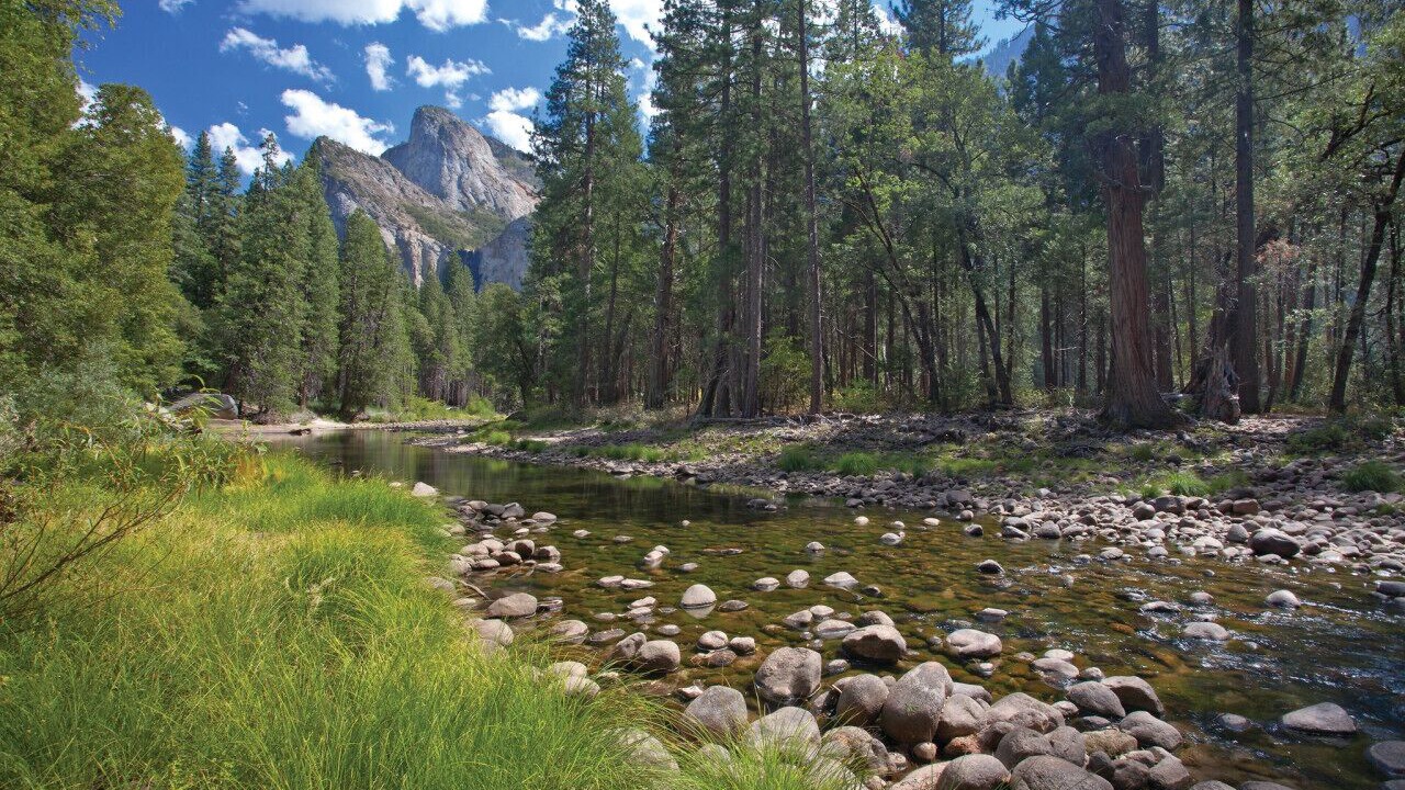 Photo of Others in Bass Lake