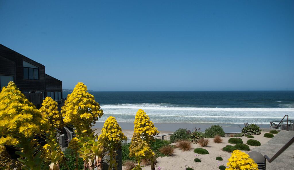 Photo of Others in Monterey