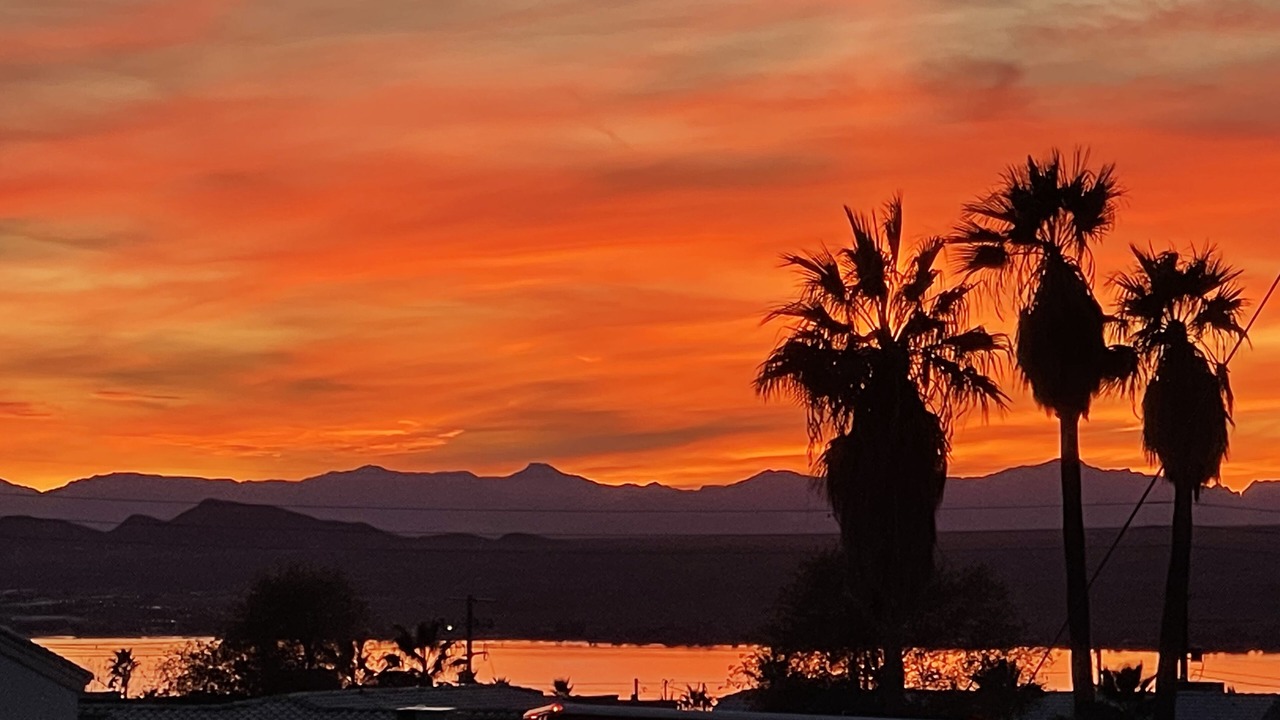 Photo of Others in Lake Havasu City