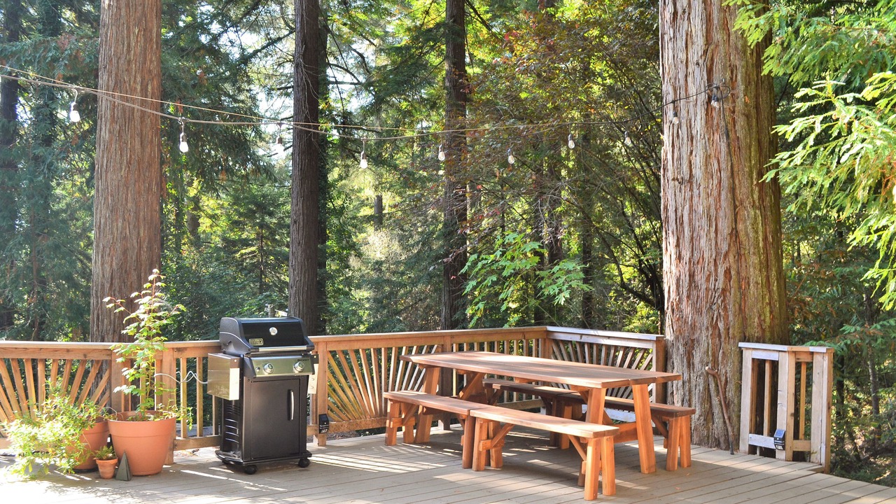 Photo of Outdoor in Monte Rio