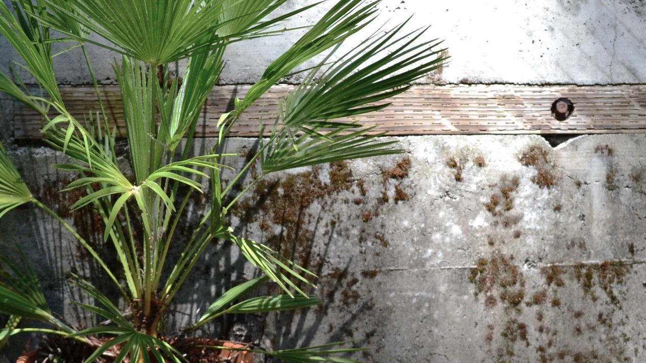 Photo of Outdoor in Monte Rio