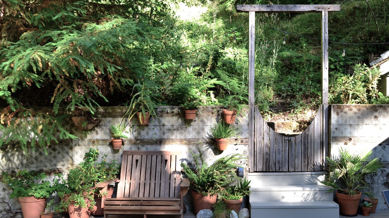 Photo of Outdoor in Monte Rio
