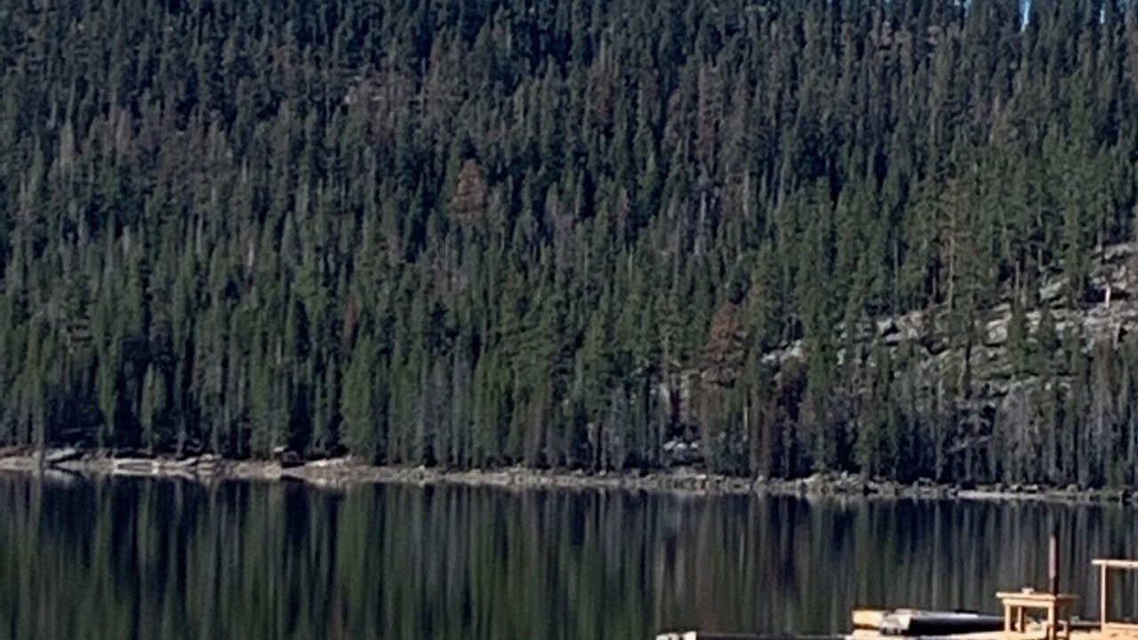 Photo of Others in Huntington Lake