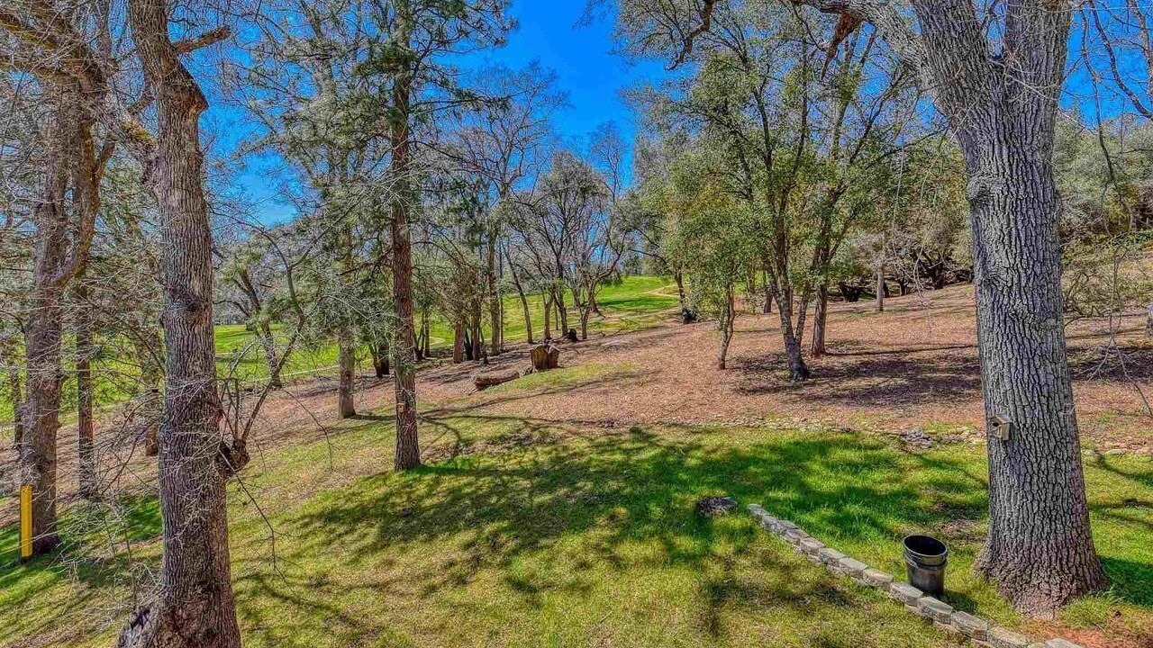 Photo of Outdoor in Groveland