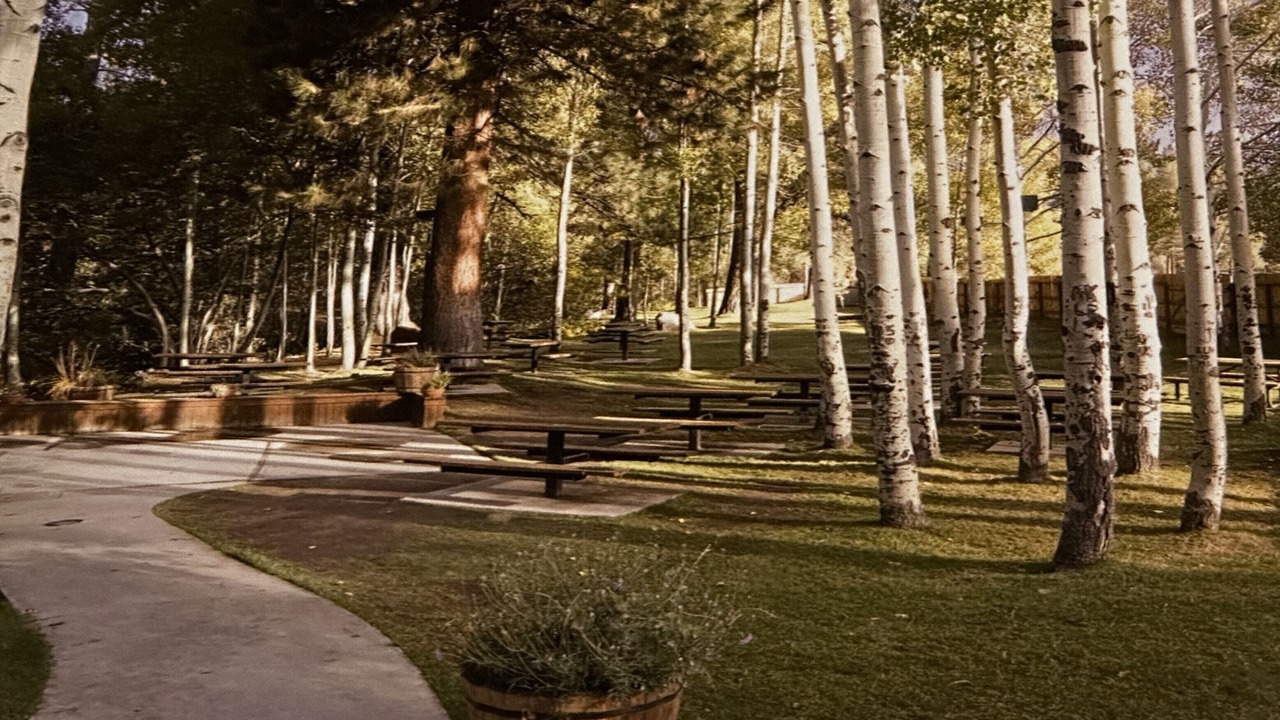 Photo of Others in Incline Village